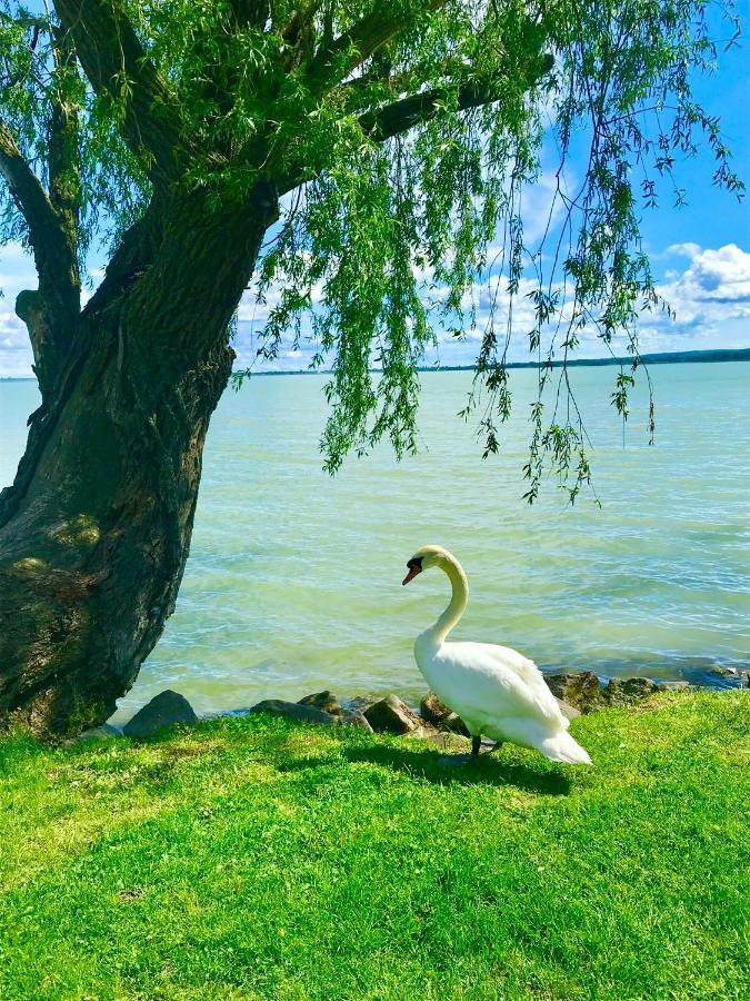 Lavender Cottage Balatongyörök Esterno foto
